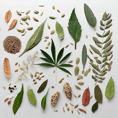 various herbal leaves and seeds on neutral background - 597584192