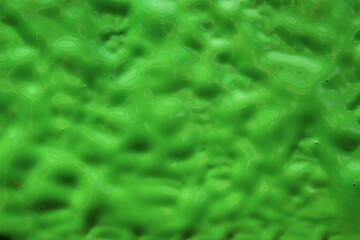 Wet paint. Green rough background texture.