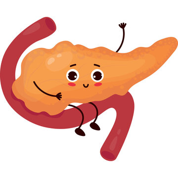 cute cartoon character organ pancreas