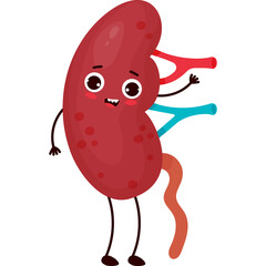  character organ kidney