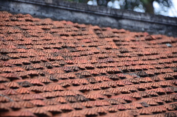 Roof tiles texture