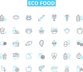 Eco food linear icons set. Sustainable, Organic, Local, Seasonal, Biodegradable, Ethical , Non-toxic line vector and concept signs. Healthy,Natural,Plant-based outline illustrations