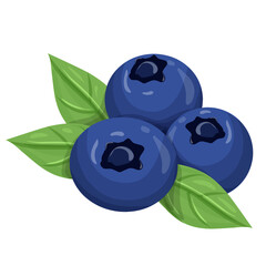 Blueberry Illustration, fruit clipart 