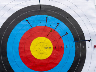 archery target board used in professional long shots