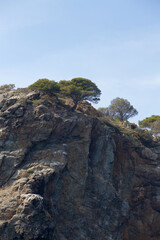 Cap de Creus - Costa Brava - Küste