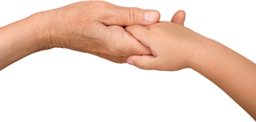 Elderly and Child Hands Holding Together
