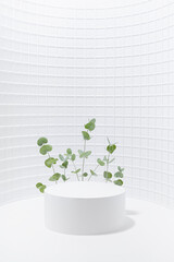 Spring fresh elegant white scene as curved niche with one circle podium mockup, mosaic wall, green tiny eucalyptus branches in sunlight, template for presentation cosmetic products, goods, vertical.