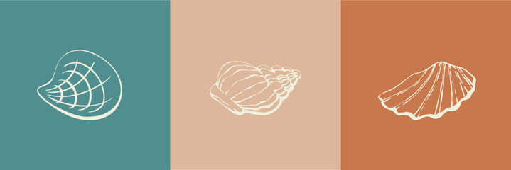 Set, row of seashell icons in a trendy minimal linear style. Vector illustration of a conch, oyster, scallop and snail, Use it for website, t-shirt print, tattoo, social media post and stories, banner