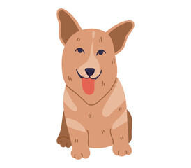 Sitting full face cute flat dog Corgi with tongue hanging out. Vector isolated cartoon pet.