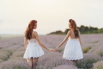 Fototapeta na wymiar Two beautiful young sisters holding hands and walking the field of lavender in Provence, France. Back view. 