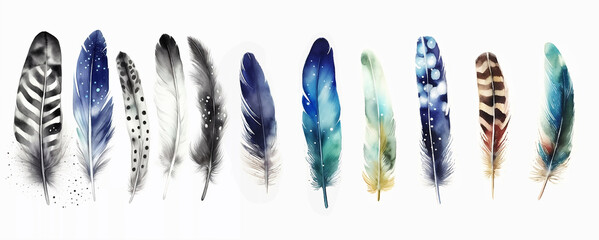 set of colored feathers