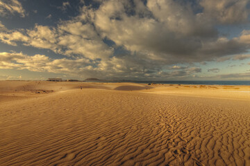 dune fuerteventura - canaries