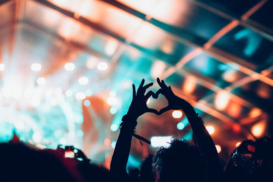 crowd at concert - summer music festival