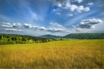 field and blue sky