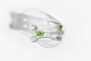 organic cosmetics, natural cosmetics, biofuels, algae. Natural green laboratory. Experiments. Glass laboratory cup with test tubes with green plants on a light background.