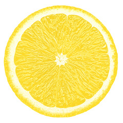 lemon slice, isolated on white background