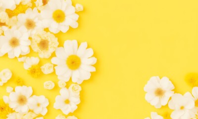 Top view image of flowers composition over yellow pastel background (Generative AI) - obrazy, fototapety, plakaty