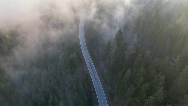 Morning drone flight along a street with mystical fog moving around