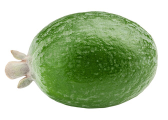 Feijoa isolated on white background, full depth of field