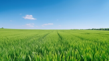 Juicy green field. Illustration AI Generative.