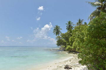 Fototapeta na wymiar Beautiful tropical Maldives island with white sandy beach and sea