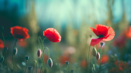 Fototapeta premium Red poppies background. Illustration AI Generative.
