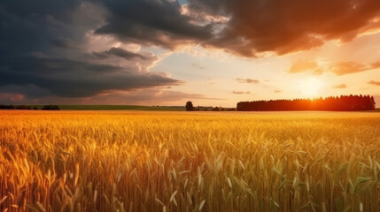 Fototapeta premium Field of ripe golden wheat in rays of sunlight Illustration AI Generative.