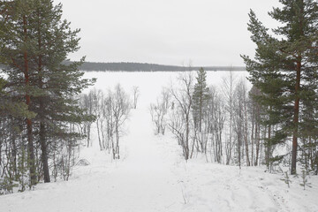 Stormy windy winter landscape in Lapland, Enontekio, Finland, Europe