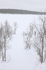 Stormy windy winter landscape in Lapland, Enontekio, Finland, Europe