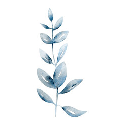 Obraz premium Watercolor leaves and branches. Design element for patterns, laurels and compositions for wedding or invitations in floral style. Real watercolor. Botanical illustration.