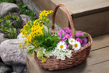 Medicinal herbs in a wicker basket on wooden steps