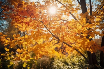 Fototapeta na wymiar autumn landscape and sunlight.. AI generative