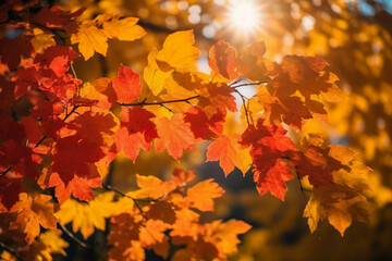 Naklejka na ściany i meble autumn landscape and sunlight.. AI generative