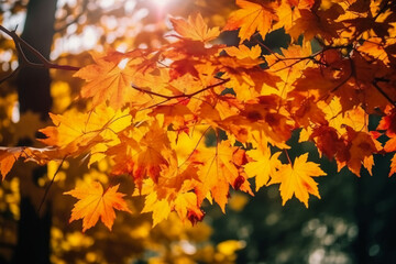 Naklejka na ściany i meble autumn landscape and sunlight.. AI generative