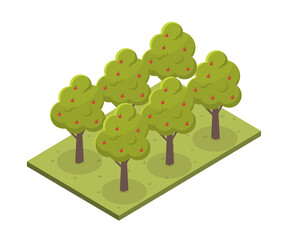 Apple trees concept
