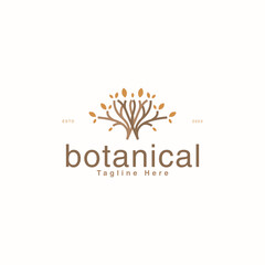 creative botanical nature leaf icon logo design vector illustration. luxury botanic ornament logo vector design template with outline, modern and elegant styles isolated on white background