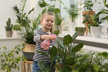 Cute little girl spraying beautiful green plant at home. House decor