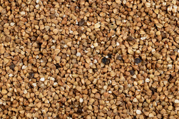 natural ecological grown buckwheat, close up