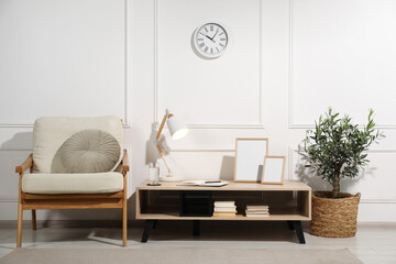 Living room interior with stylish furniture and beautiful young potted olive tree