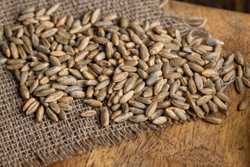 A small amount of rye grain