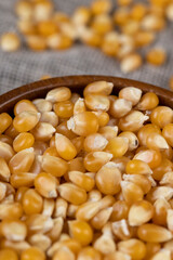 dry corn for cooking and popcorn
