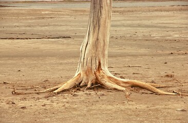 paisaje minimalista del lago Epecuen 