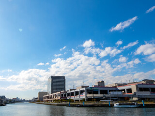 Fototapeta premium 大阪中央卸売市場