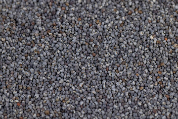 a close-up of a pile of poppy seeds used in cooking