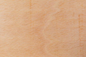 Light rough textured cut surface of an African tree. Wood background or blank for design