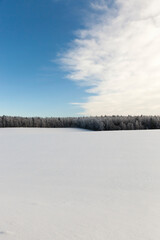agricultural field for planting plants in winter