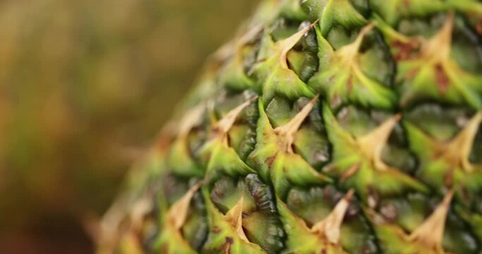 a large number of pieces of ripe pineapple sliced into pieces during cooking, closeup