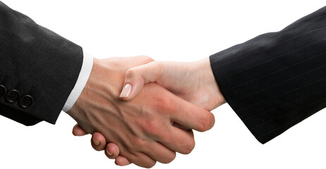 Closeup of Two Business People Shaking Hands