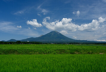 Fototapeta premium 夏の大山