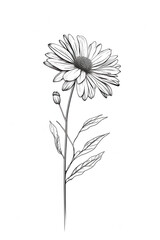 Minimal Sunflower